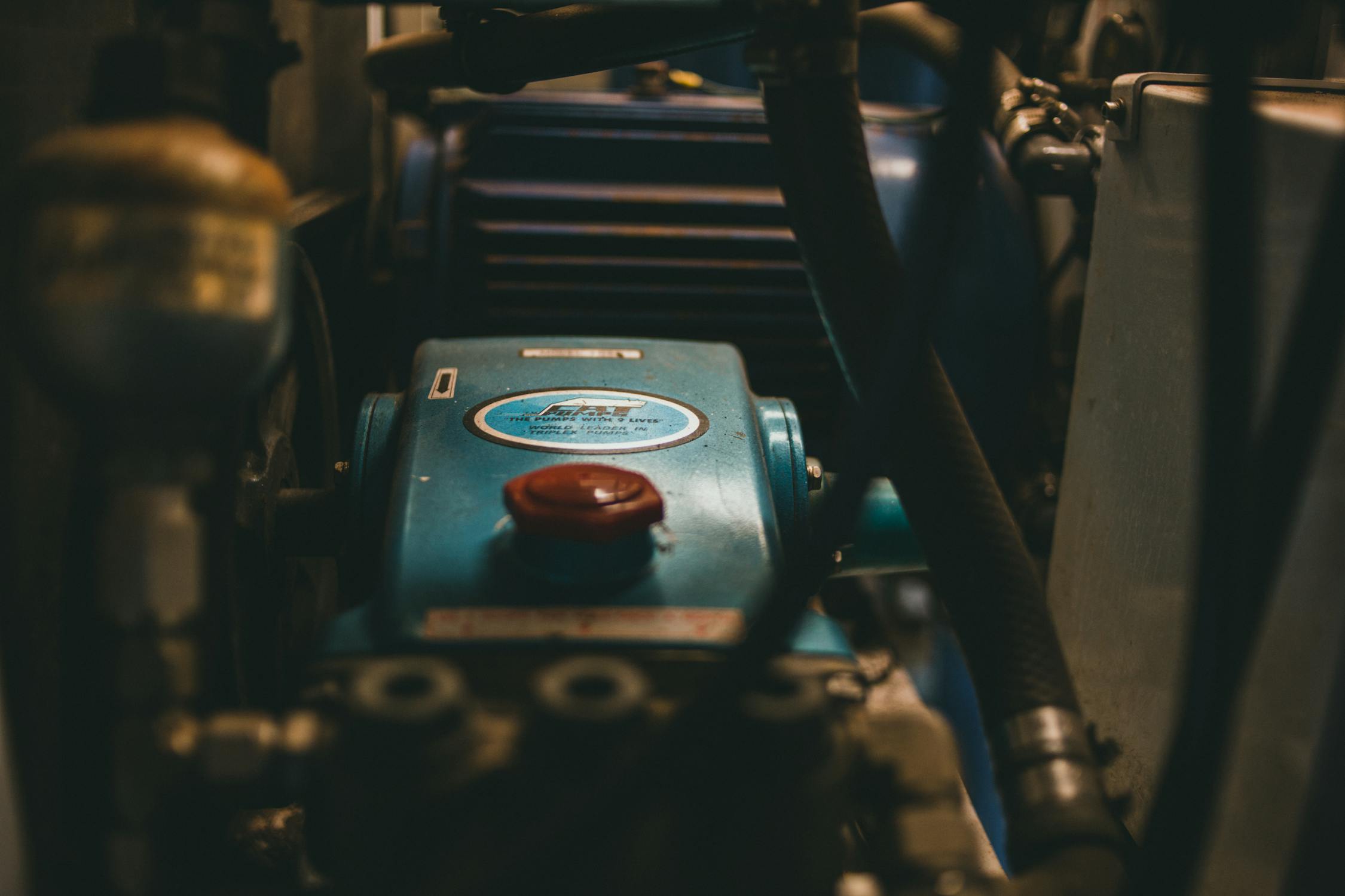 pexels photo 10290625